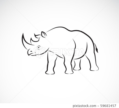 Vector of rhinoceros on a white background. Vector of rhinoceros on a white background. 59681457