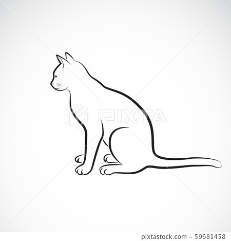 Vector of sitting cat on a white background. Pet. 59681458