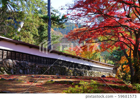 Fall of Fukuman Kikkoson Enzouji (Fukushima Prefecture, Yanaizucho) 59681573