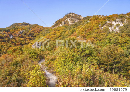 京畿道陽州市天寶山森林秋葉 京畿道陽州市天寶山森林秋葉 59681979