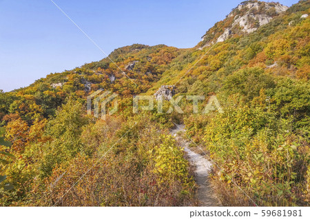 Autumn leaves, forest, cheonbosan, yangju city, gyeonggi-do 59681981