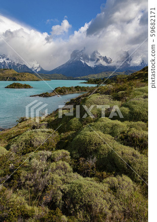 Torres del Paine National Park - Patagonia - Chile 59682171