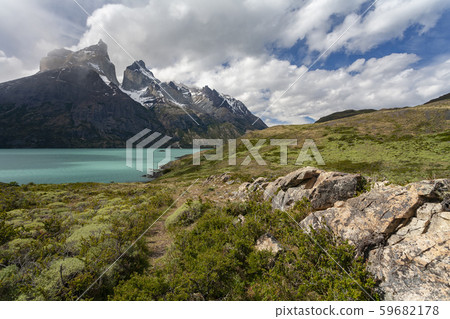 Torres del Paine National Park - Patagonia - Chile 59682178