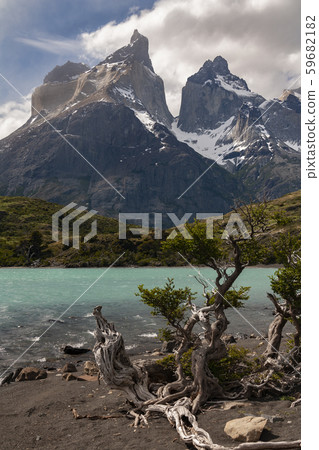 Torres del Paine National Park - Patagonia - Chile 59682182
