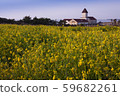 Jeju island, church, flower, spring 59682261