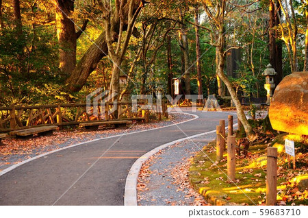 Naritasan Park (colored leaves) 59683710