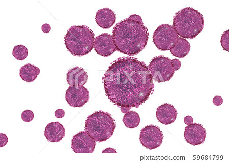 Illustration of influenza (white background) 59684799