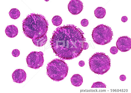 Illustration of influenza (white background) Illustration of influenza (white background) 59684820