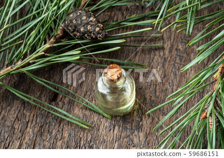 A bottle of pine essential oil with pine branches 59686151
