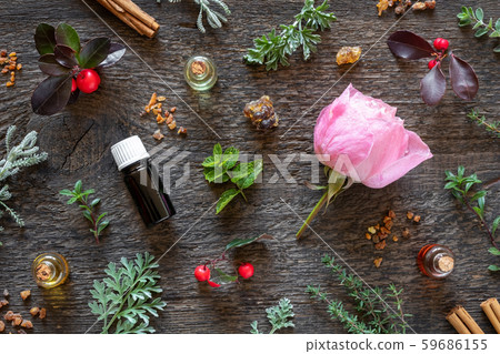 Selection of essential oils with frankincense, myrrh, wintergreen, wormwood and other herbs 59686155