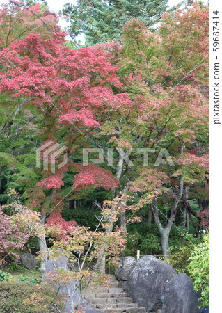 筑波山秋葉 筑波山秋葉 59687414