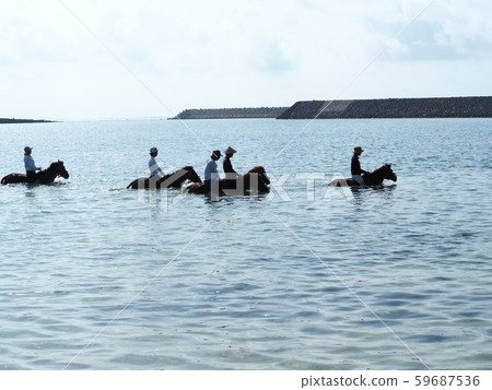 與那國島(水下騎馬) 與那國島(水下騎馬) 59687536