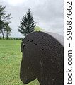 It's a horse 59687662