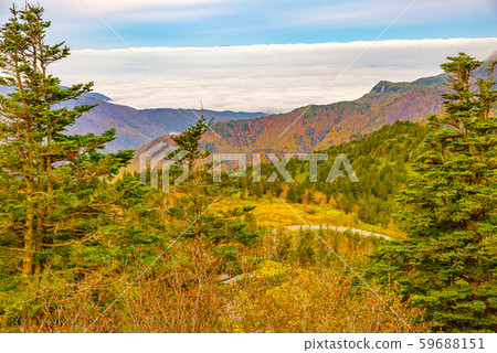 Early morning Shiga Kogen [Nagano Prefecture] 59688151
