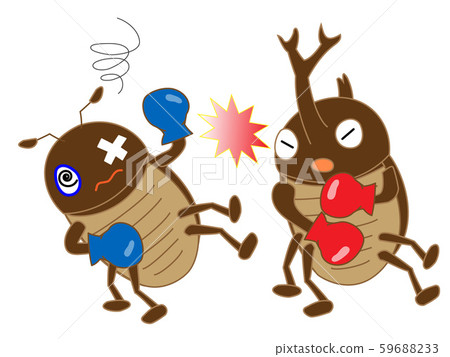 Insect boxing Insect boxing 59688233