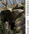 Rock stone (power spot) 59688693