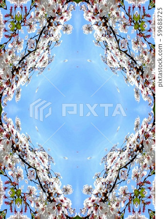 “海報插圖”主題“櫻花” No.15 59688725