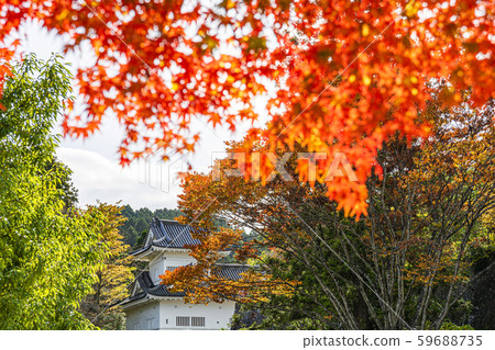 仙台城堡遺址 59688735
