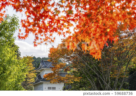 仙台城堡遺址 仙台城堡遺址 59688736