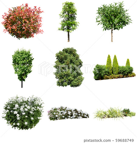 彩礁園林植物摳圖 彩礁園林植物摳圖 59688749