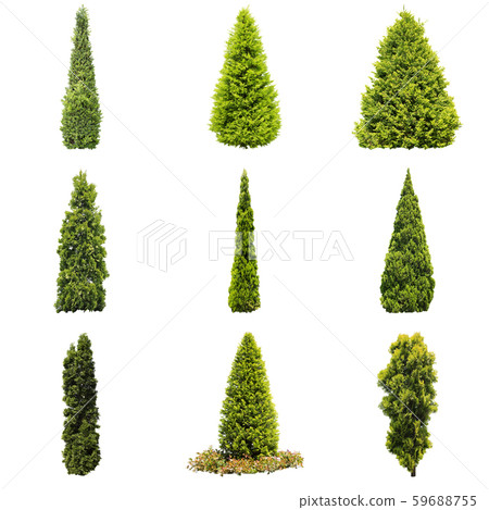Color Reef Garden Plant Cutout Color Reef Garden Plant Cutout 59688755