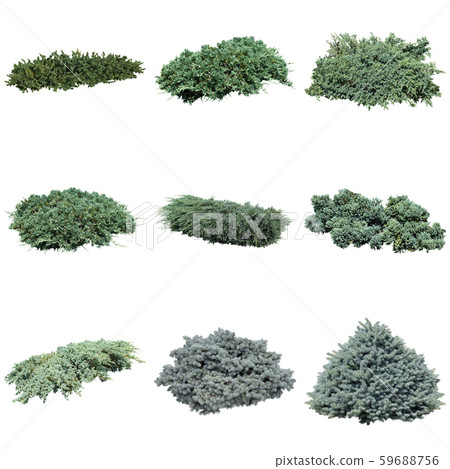 Color Reef Garden Plant Cutout 59688756