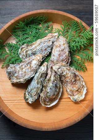 Oyster with shell 59689087