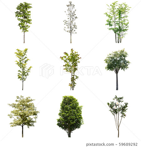 Color Reef Garden Plant Cutout 59689292