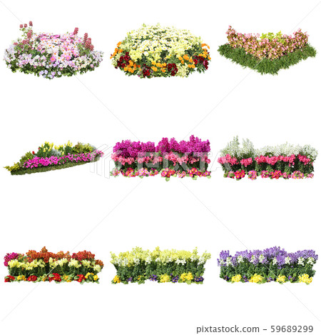 種植花圃 59689299