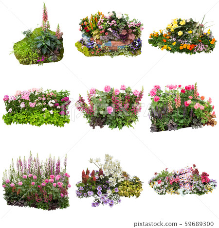 Ornate group plant flower material 59689300