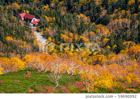 《Nagano Prefecture》Autumn leaves Norikura and natural scenery 59690092