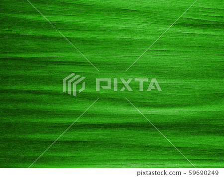 Bark texture green 1237 59690249