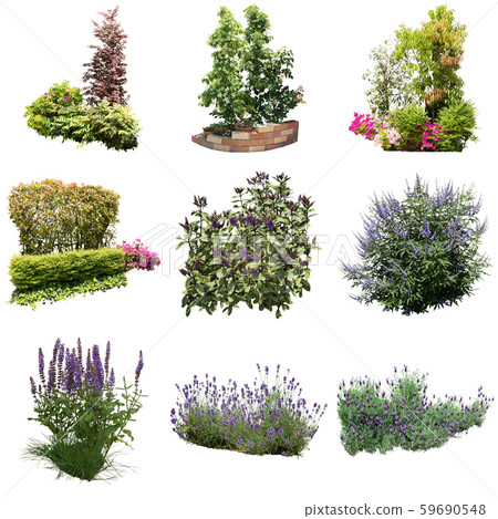 Garden planted flowers material 59690548