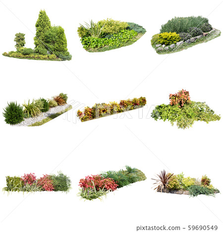 彩葉花園組種植 59690549
