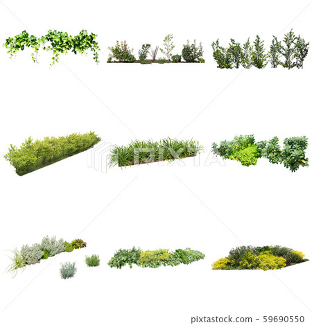 彩葉花園組種植 59690550