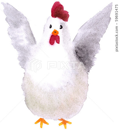Cute watercolor illustration chicken Cute watercolor illustration chicken 59691475