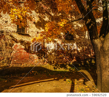 Ancient castle with autumn trees 59692520