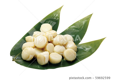 博伊爾嬰兒扇貝_ 10不含錶帶(通過) 博伊爾嬰兒扇貝_ 10不含錶帶(通過) 59692599