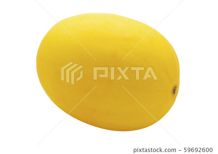 金正甜瓜04(及格) 金正甜瓜04(及格) 59692600