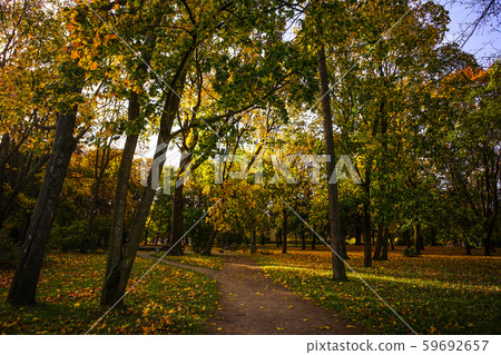 Autumn scenery at sunny day 59692657