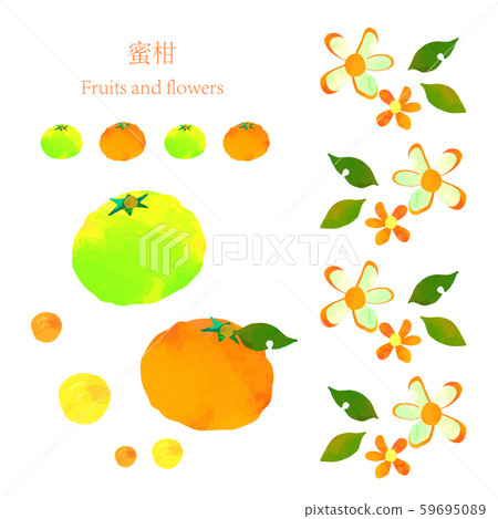 Tangerine watercolor style set 59695089