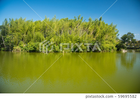 百花托土葬場 59695582