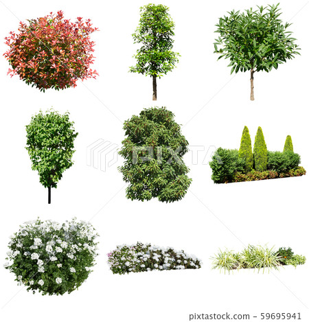 Color Reef Garden Plant Cutout 59695941