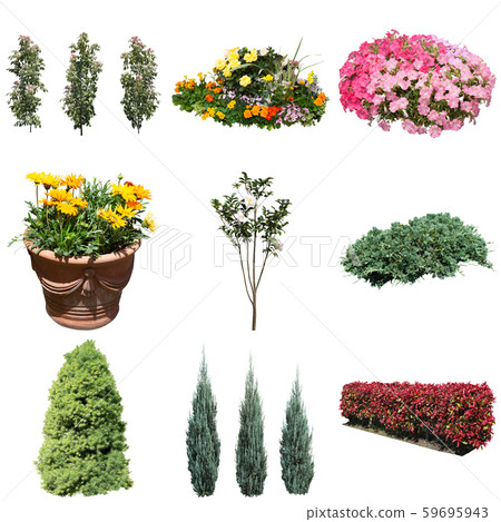 彩礁園林植物摳圖 彩礁園林植物摳圖 59695943