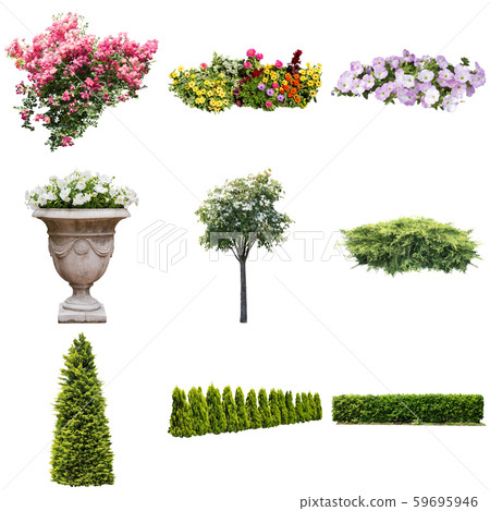 Color Reef Garden Plant Cutout 59695946