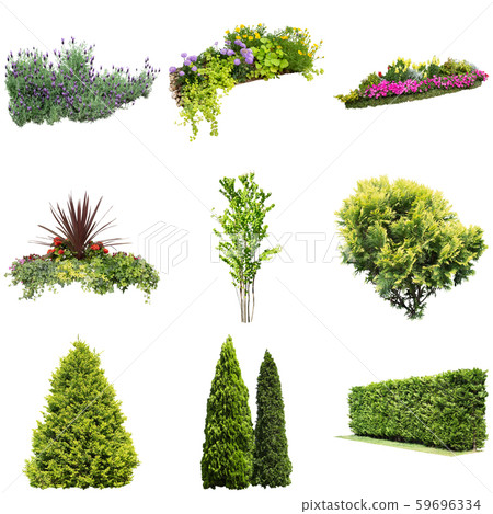 Color Reef Garden Plant Cutout 59696334