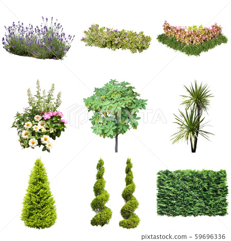 Color Reef Garden Plant Cutout Color Reef Garden Plant Cutout 59696336