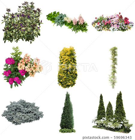 Color Reef Garden Plant Cutout 59696343