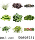 彩礁園林植物摳圖 59696581