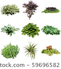 彩礁園林植物摳圖 59696582